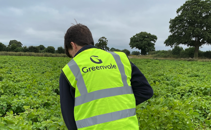 Greenvale unveils a new brand in transition towards sustainable potato production