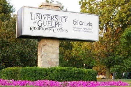 University of Guelph Ridgetown campus sign.