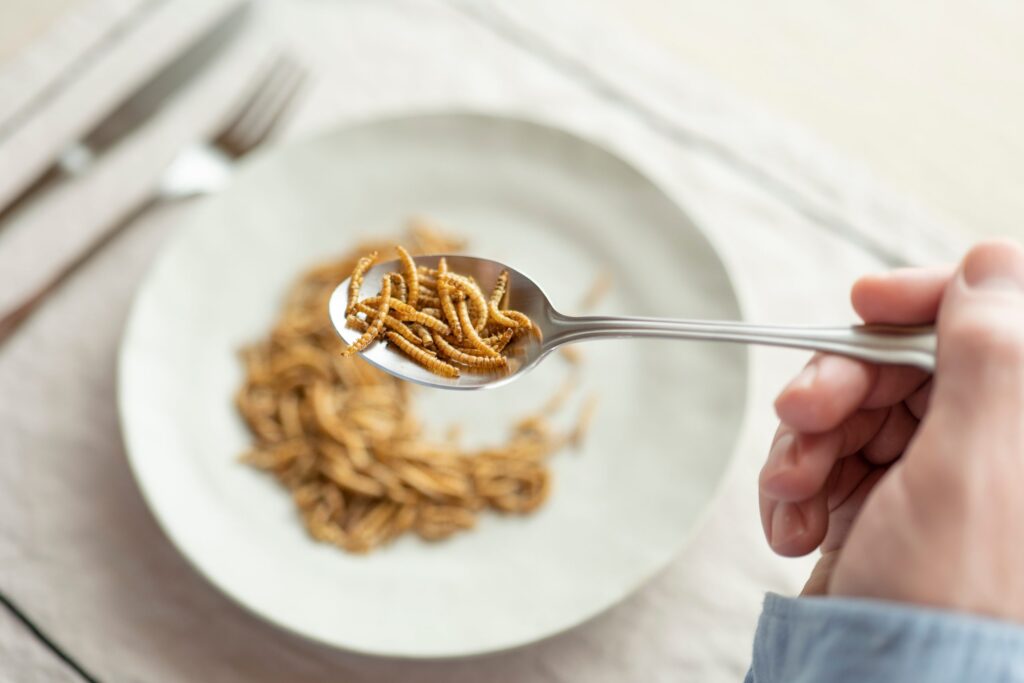 Mealworm Protein study shows promise for sustainable future