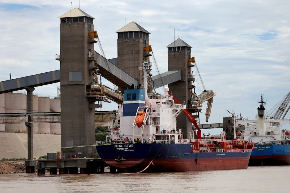 Grain is loaded onto ships for export at a port on the Parana River near Rosario, Argentina on Jan. 31, 2017. (File photo: Reuters/Marcos Brindicci)
