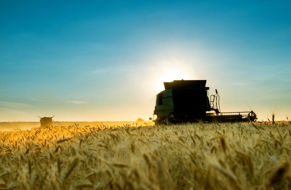 Russia maintains grain harvest forecast despite bad weather