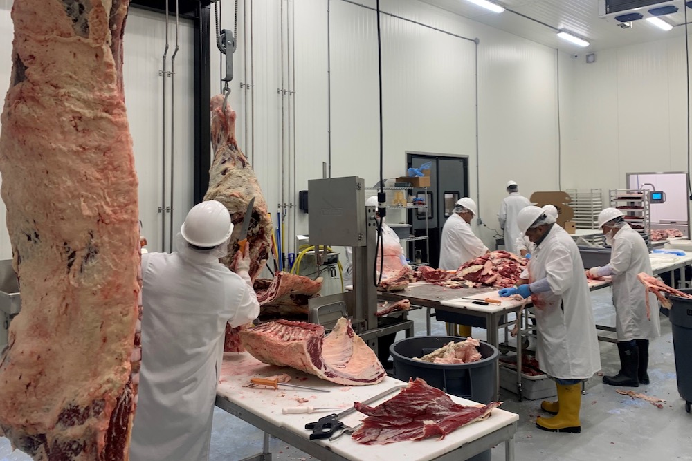 Workers use knives to butcher cattle carcasses at a new Hertzog Meat Co beef plant, in Butler, Missouri, U.S., June 14, 2021. Picture taken June 14, 2021.  Todd Hertzog/Handout via REUTERS.    
