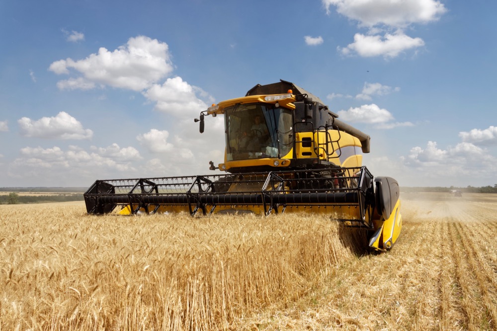 Ukraine completes 2024 wheat harvest at 21.7 mln tons, ministry says