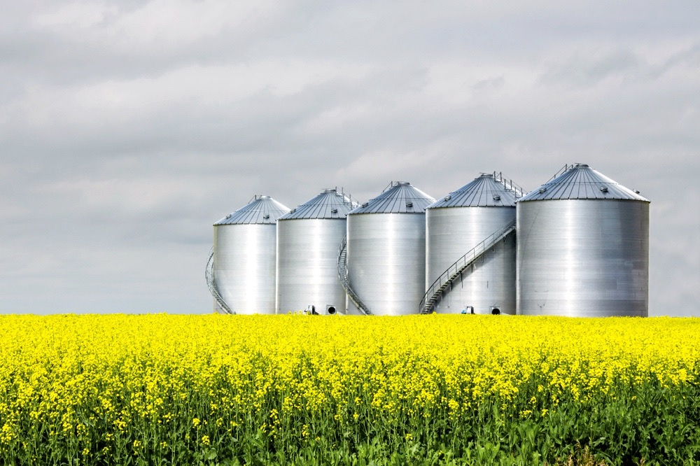 Canadian canola ending stocks largest since 2020