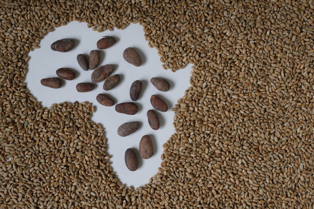 African Cocoa Marketplace launches innovative new platform to boost global trade