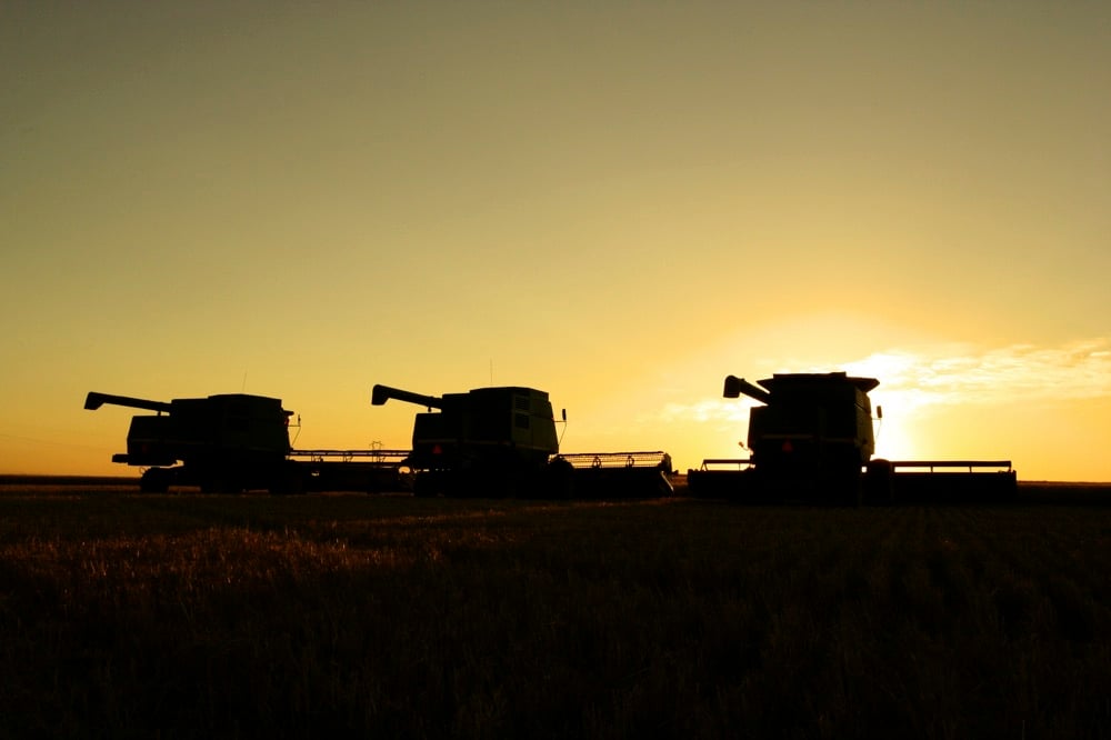 Saskatchewan crop report: Hot, dry conditions help harvest