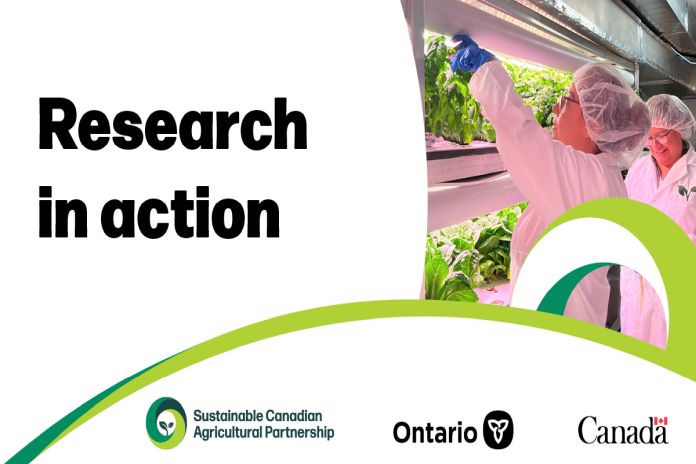 Canada: Federal - Provincial governments investing in innovation to strengthen Ontario’s agri-food sector