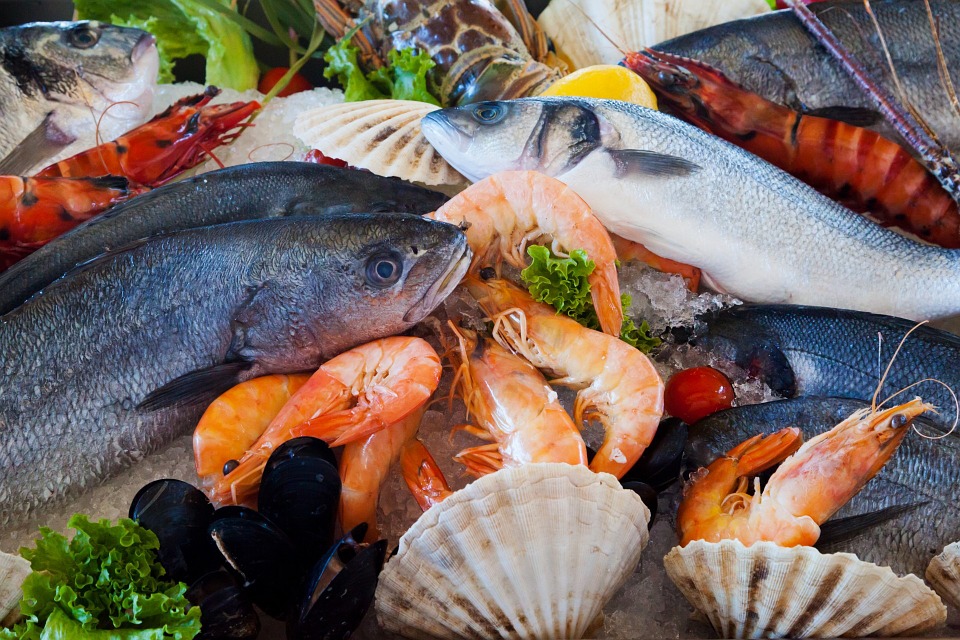 Growing Chinese demand for seafood - a significant opportunity for exporters