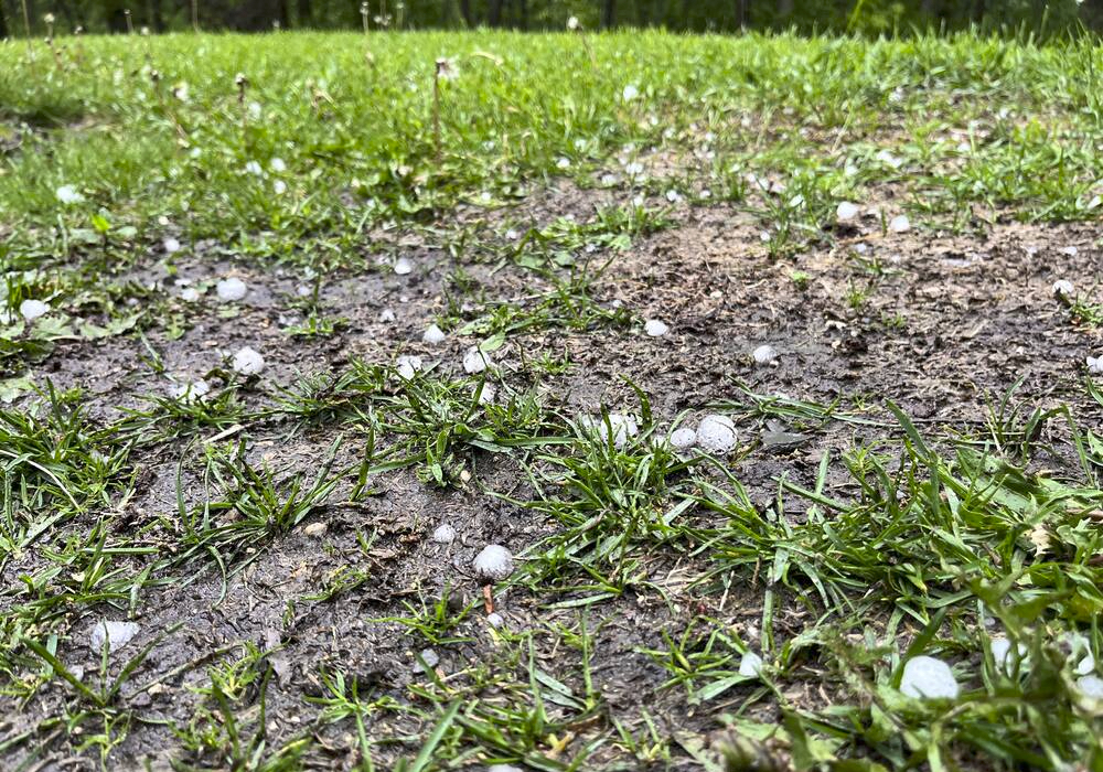 Hail, strong winds damage Prairie crops