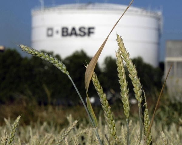 BASF to prepare agricultural business for IPO, reports Bloomberg