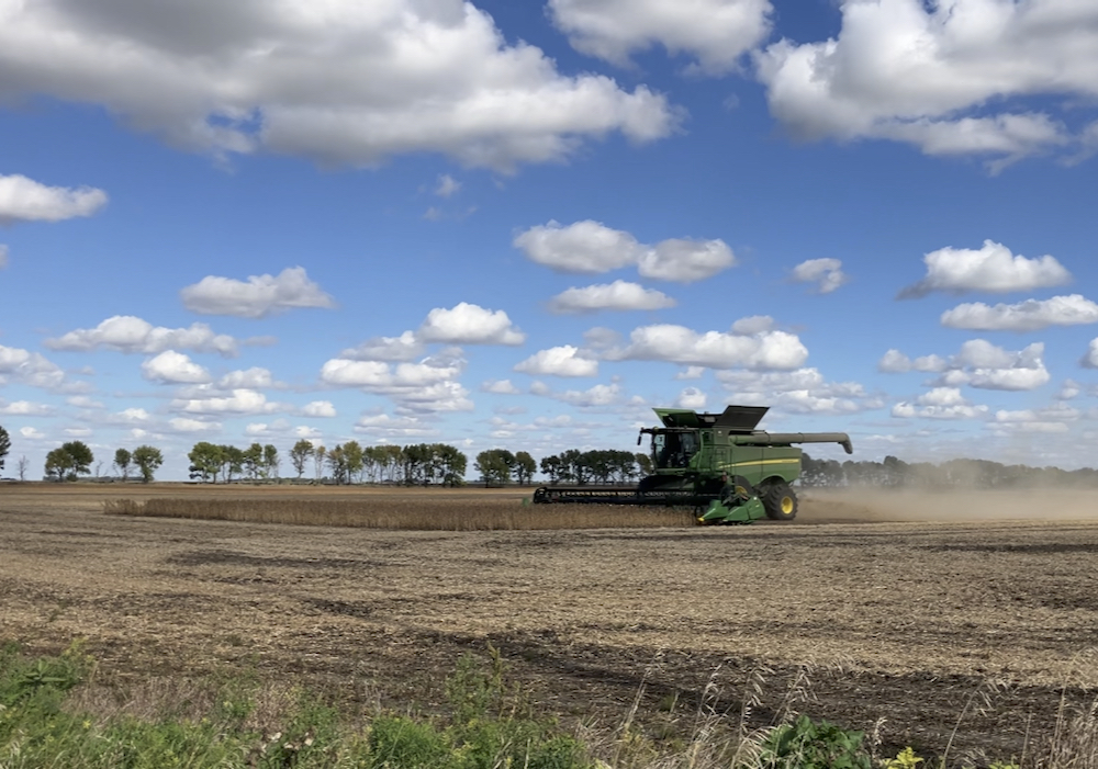 Soybean harvest in Morden/Winkler area. Greg Berg
