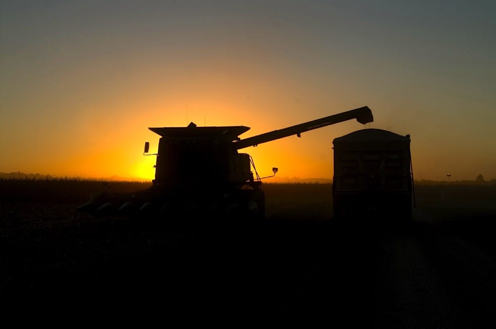 Saskatchewan Crop Report: Harvest nears 80 per cent despite rain