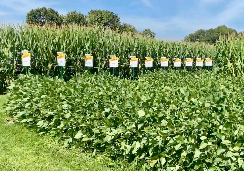 Crop plots at Canada's Outdoor Farm Show