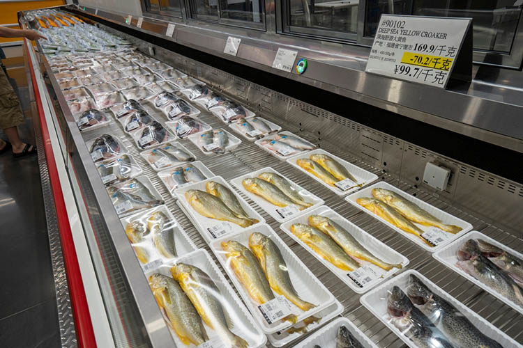 Temperature fluctuations found to harm fish quality in cold chain logistics