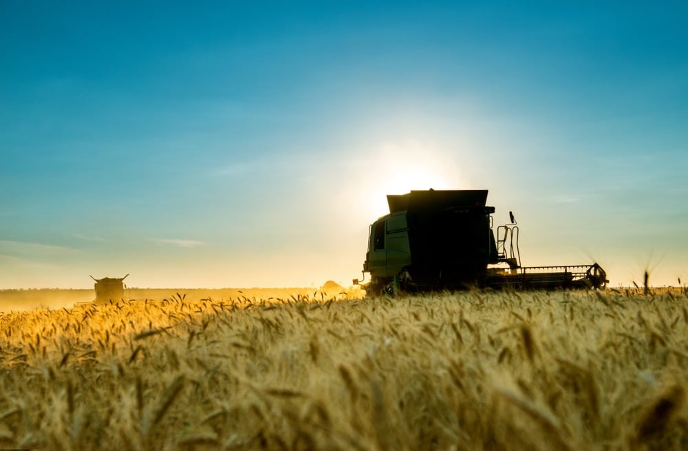 Manitoba Crop Report: Dry weather advances harvest to 73 per cent