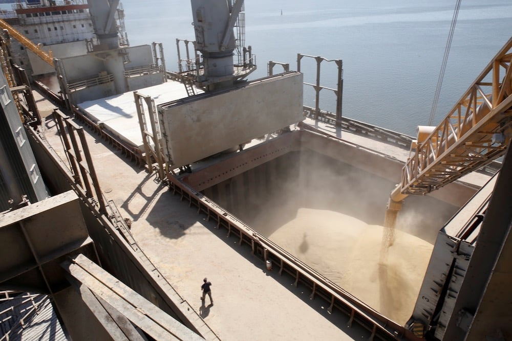 File photo of barley being loaded for export at the Black Sea port of Mykolaiv, Ukraine on July 9, 2013. (Photo: Reuters/Vincent Mundy)
