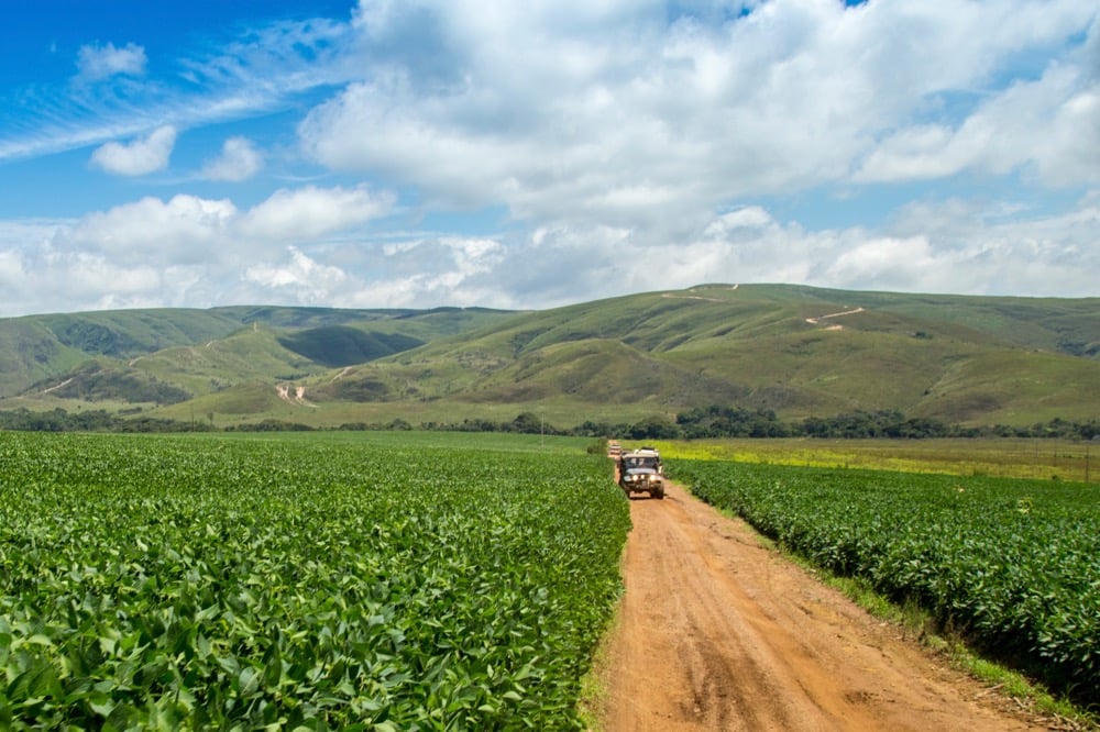 Brazil farmers, government slam Danone for cutting out Brazilian soy