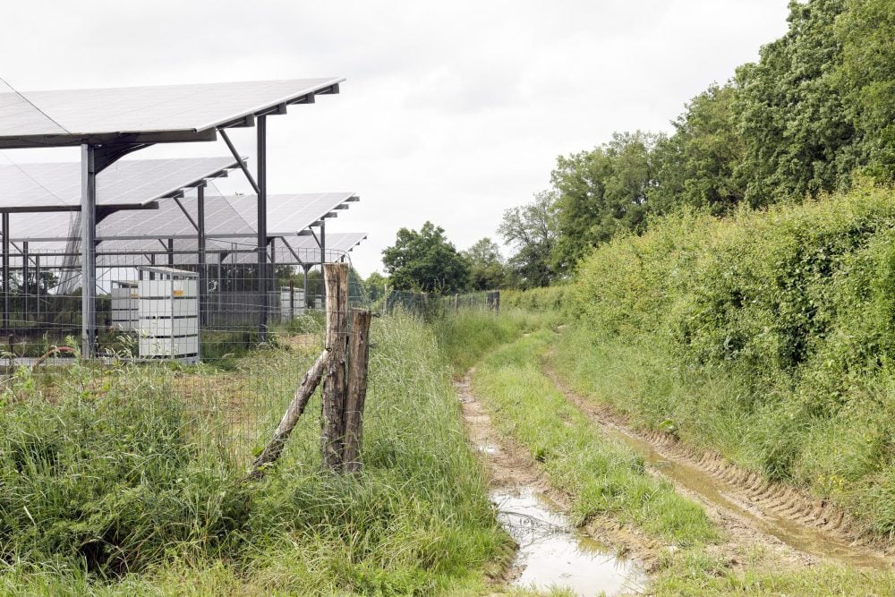 France, Poitiers region, 2024-05-28. Illustrative image of agrivoltaics in a bocage landscape between Poitiers and Parthenay. Photograph by Jean-Francois Fort / Hans Lucas.
