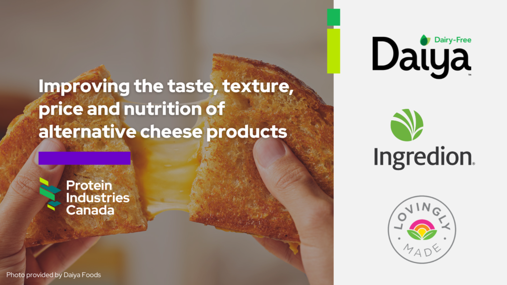 Daiya Foods and partners invest $16M to enhance plant-based cheese