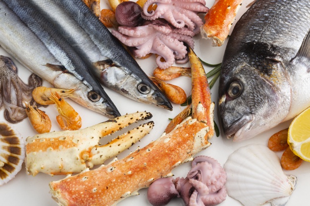 Ground-breaking incentive introduced for seafood traceability