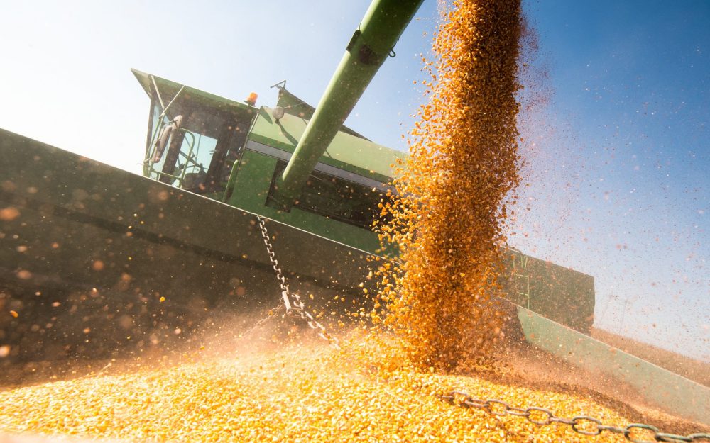 Speedy US corn and soy harvests strain farmers, storage capacity