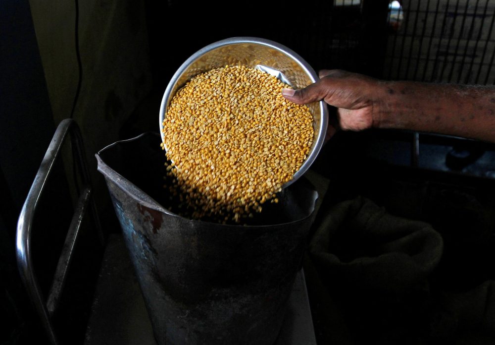 Indian buyers expect no disruption in Canadian lentil, potash supplies