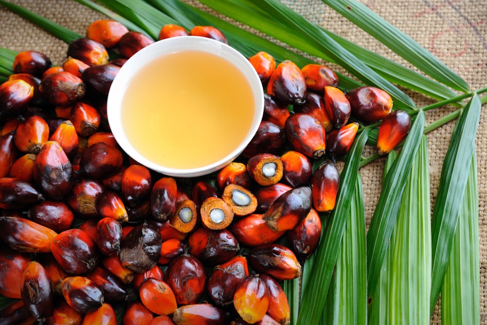 Malaysia to produce less palm oil - USDA attaché