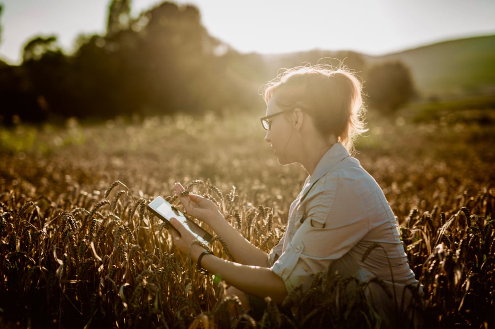 Ontario already has most of the key elements needed to be a global livestock ag tech leader. 