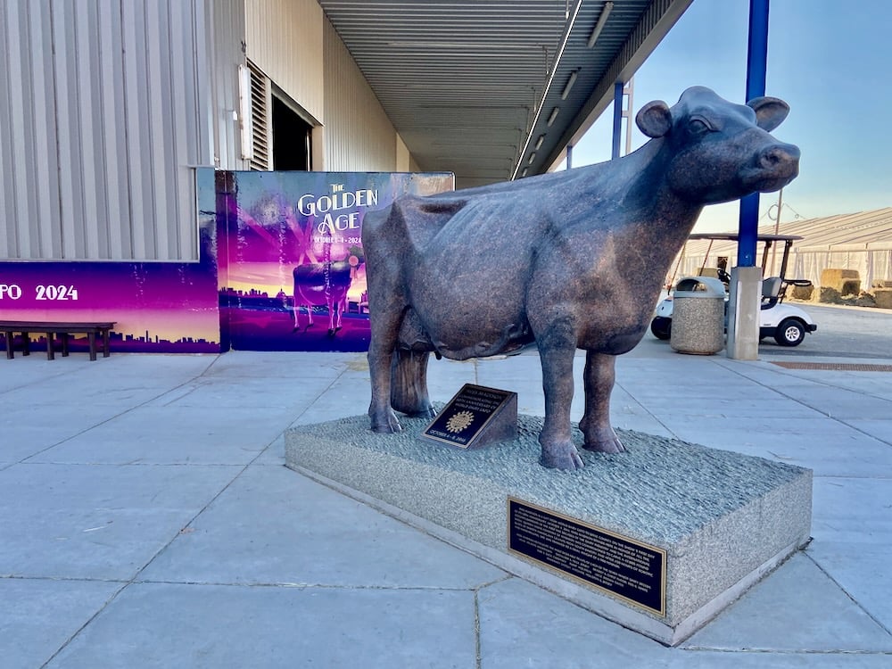 This cow statue, called Miss Madison was installed on the 50th anniversary of World Dairy Expo and is a favour photo spot at the event. 