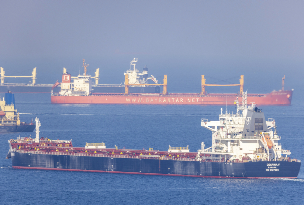 Cargo ship Despina V, carrying Ukrainian grain, is seen in the Black Sea off Kilyos near Istanbul, Turkey on Nov. 2, 2022.  (Photo: Reuters/Umit Bektas)
