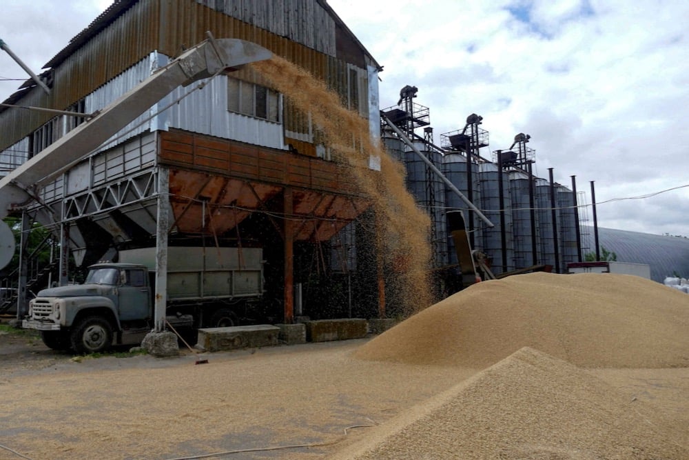 Ukraine grain exports to fall by more than 10 million tonnes due to smaller crop, official says