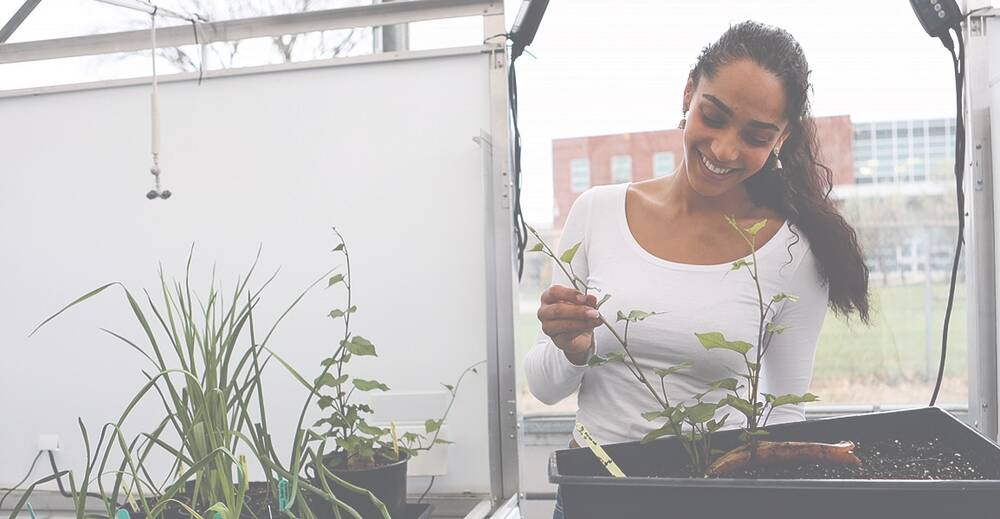 The first students to participate in the University of Guelph’s agricultural internship program will come from the agricultural economics, animal science and plant science programs. 