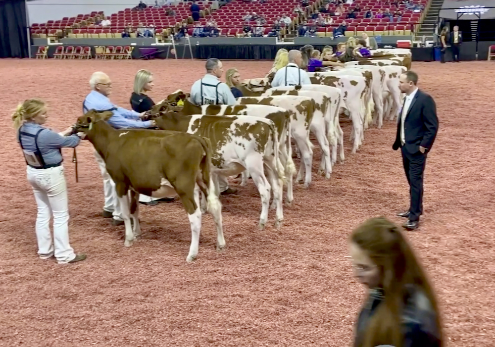 VIDEO: Making headlines at World Dairy Expo