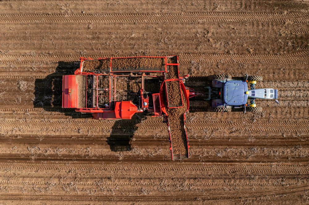 Potato growers' feedback wanted in final response plan consultation