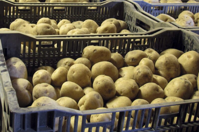 Two Canadian companies have been named in separate frozen-potato price-fixing lawsuits south of the border. Bins of potatoes are shown in Windsor, Vt. in a Monday, Nov. 19, 2012 file photo. THE CANADIAN PRESS/AP Photo/Wilson Ring