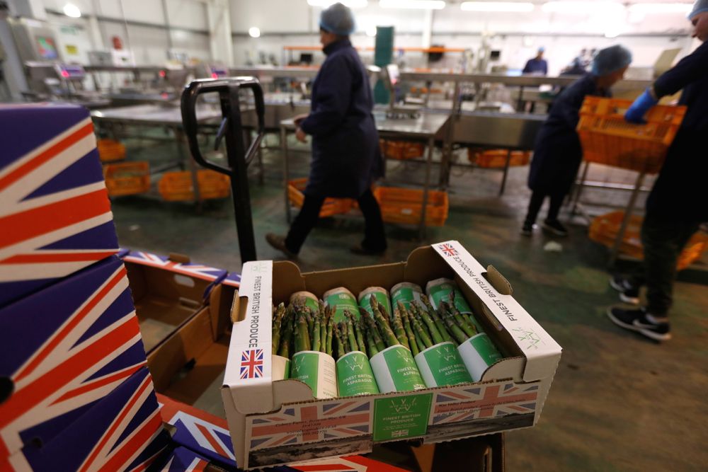 Boxes of asparagus are seen at Cobrey Farm in Ross-on-Wye, Britain on March 11, 2019. (Photo: Reuters/Peter Nicholls)
