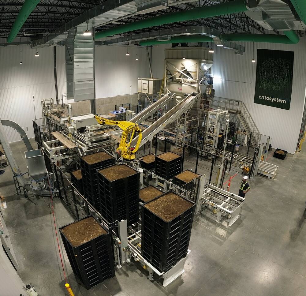 Entosystem's plant in Drummondville can process 90,000 tonnes of organic matter a year, turning it into 5,000 tonnes of high quality protein meal suitable for aquaculture and poultry feed. 