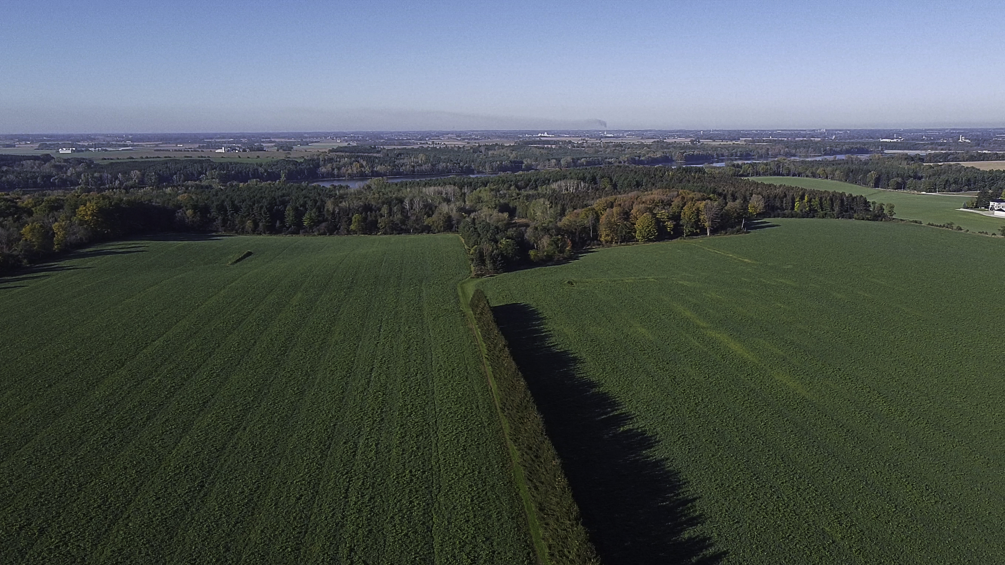 McDonald’s to pay farmers for feed efficient Enogen corn use