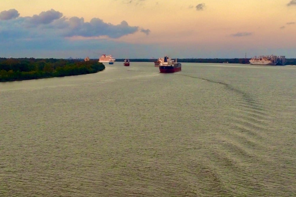 Rains swell Mississippi River, US soy exports flow at 4-year high