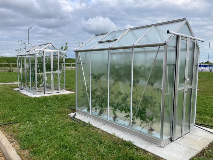 UK scientists unveil light-optimising greenhouse coating to extend produce growing seasons