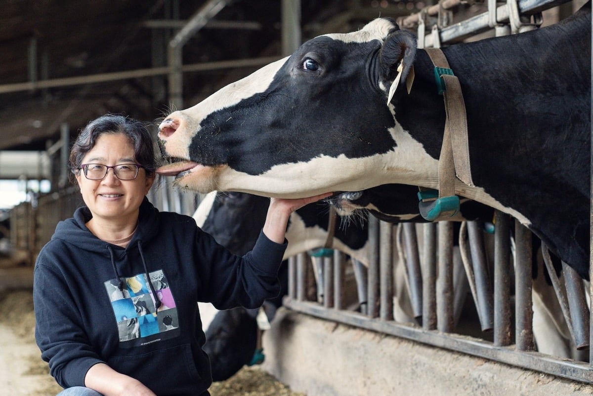 Dr. Leluo Guan University of British Columbia professor is leading a $7.9 million project to better understand methane processes in cattle rumens. Photo: UBC
