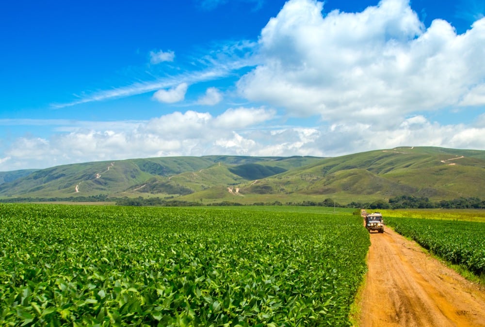 Brazil farmer lobby asks to lift soybean ban from deforested Amazon rainforest