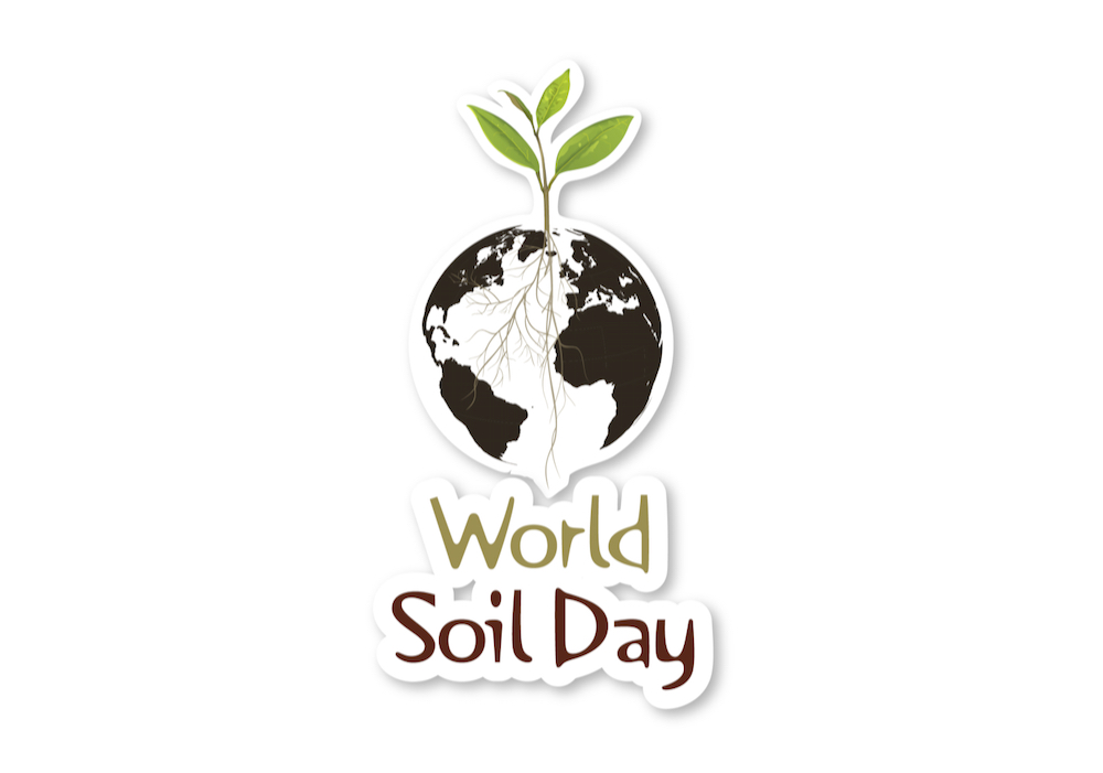 World Soil Day celebrates critical resource