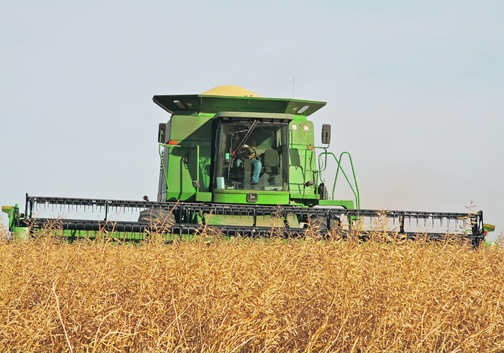 Crop Production Show 2025: Mustard market outlook 'disappointing'