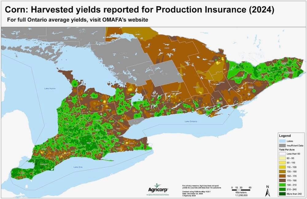 Agricorp data shows a 2024 average of about 204 bushels per acre for corn among production insurance customers in