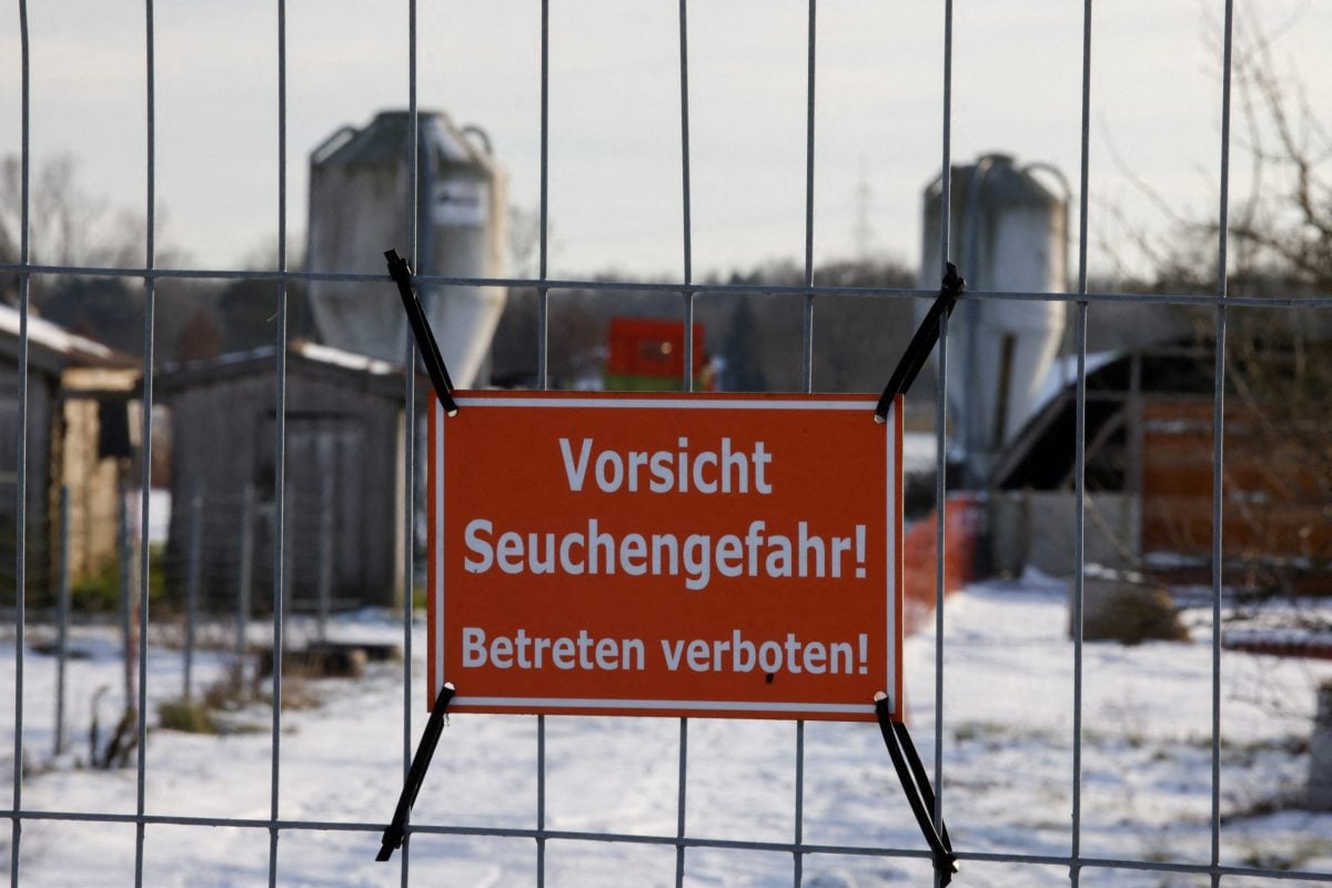 FILE PHOTO: A sign with the inscription  “Beware of epidemic danger! No trespassing!” hangs on a fence in front of a farm in Mehrow, close to Ahrensfelde, Germany, January 13, 2025.    REUTERS/Axel Schmidt/File Photo
