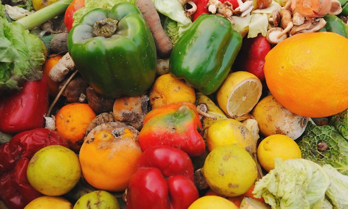 US States struggle to curb food waste despite national targets