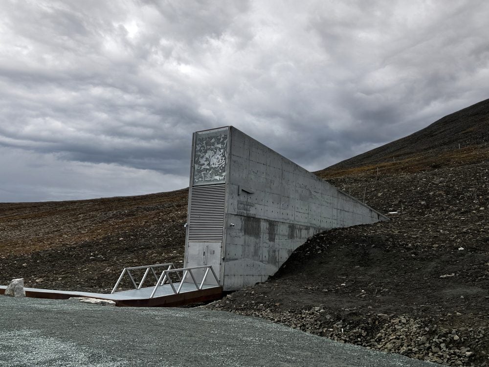 Entry way to the Global seed vault in Svalbard. Photo: BDPhoto/iStock/Getty Images
