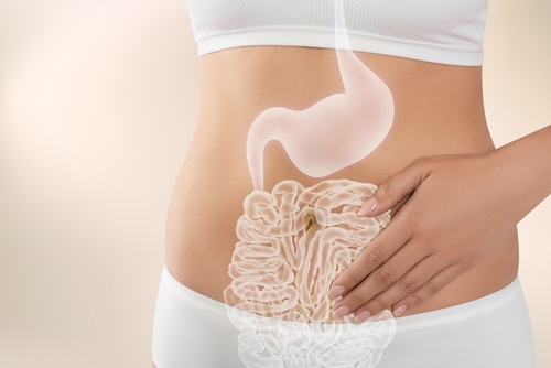 Healthy gut bacteria that feed on sugar analysed for the first time