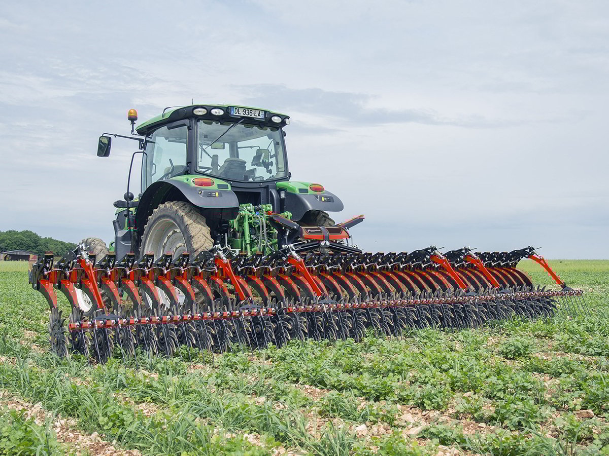 An inter-row cultivator works on an organic crop.